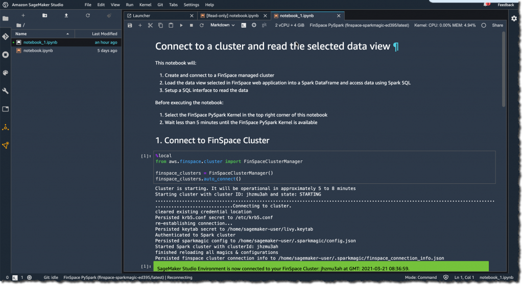 finspace connect to cluster