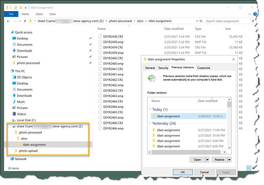Restoring the file data from shadow copies